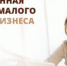 ПОДДЕРЖКА МАЛОГО И СРЕДНЕГО БИЗНЕСА В УСЛОВИЯХ САНКЦИЙ - Администрация г. Новозыбков