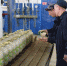 В КП-3 выпущено консервированной продукции почти на 27 миллионов рублей - Газета Маяк