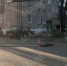 Новозыбковские коммунальщики откачивают воду из подвалов - Газета Маяк