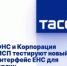 ФНС и Корпорация МСП тестируют новый интерфейс ЕНС для юрлиц - Газета Маяк