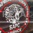Психолог объяснила мотивацию мужчин при вступлении в «БАРС-Брянск» - Газета Маяк