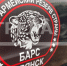 Добровольцы отряда «БАРС-Брянск» продолжают отвечать на вопросы кандидатов - Газета Маяк