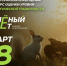 Брянцев приглашают принять участие в экологическом тестировании «Зелёный Зачёт» - Газета Маяк
