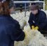 В КП-3 выпущено консервированной продукции почти на 19 миллионов рублей - Газета Маяк