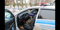 Начальник брянского управления МВД исполнил желание мальчика в рамках акции «Ёлка желаний» - Газета Маяк