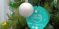 Брянцы исполнили новогодние желания детей из подшефной Брянки - Газета Маяк