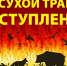ПАЛ СУХОЙ ТРАВЫ ЗАПРЕЩЁН - Администрация г. Новозыбков