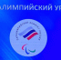 В Брянске проводят мастер-классы с паралимпийцами в рамках премии «Возвращение в жизнь» - Газета Маяк