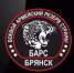 В отряд «БАРС-Брянск» требуются профессиональные повара и медики - Газета Маяк