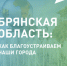 Две недели осталось до окончания голосования за объекты благоустройства в Брянской области - Газета Маяк