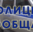 На баранов-вредителей пожаловались жители частного сектора в новозыбковском селе - Газета Маяк
