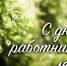 21 СЕНТЯБРЯ - ДЕНЬ РАБОТНИКОВ ЛЕСА - Администрация г. Новозыбков